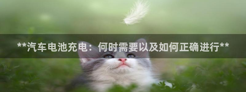 优发国际怎么样