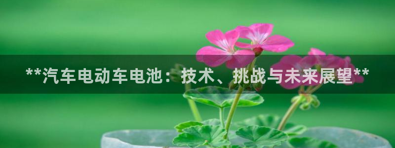 优发国际集团股份有限公司