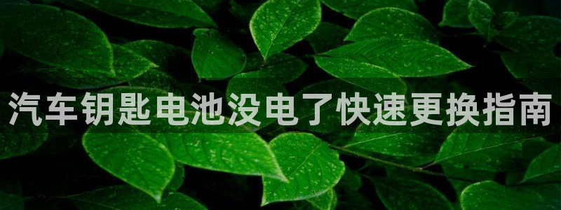 优发国际是合法的吗