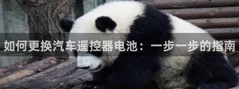 优发国际 干什么的