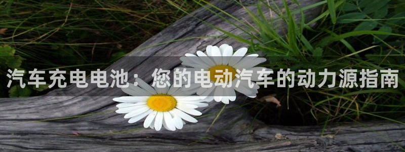 优发国际合并到哪里了
