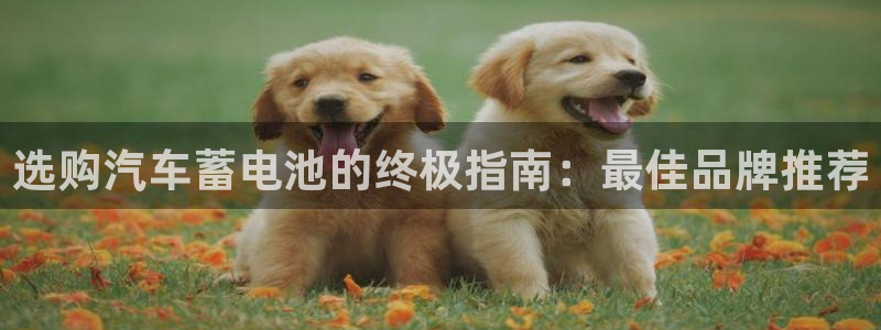 优发娱乐pt官网客户端