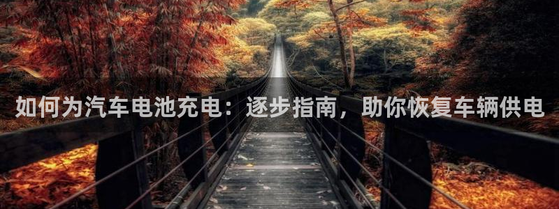 优发国际的官网是什么软件