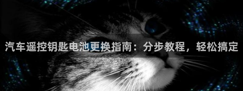 优发国际手机安装登录