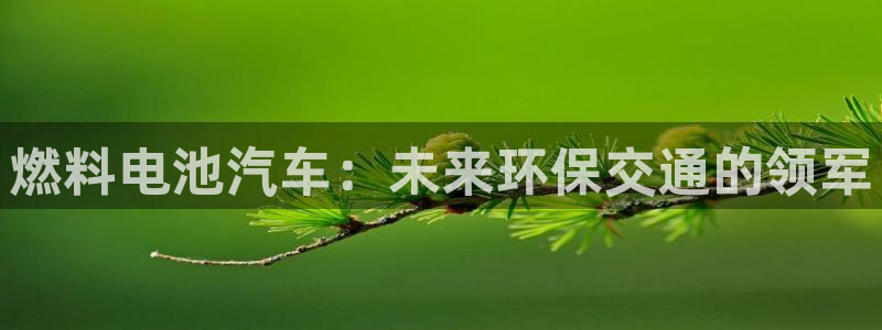 优发国际手机客户端下载不了