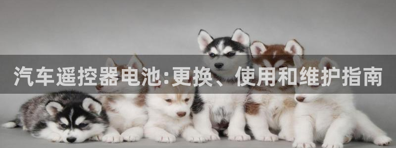 优发国际官网是多少号码