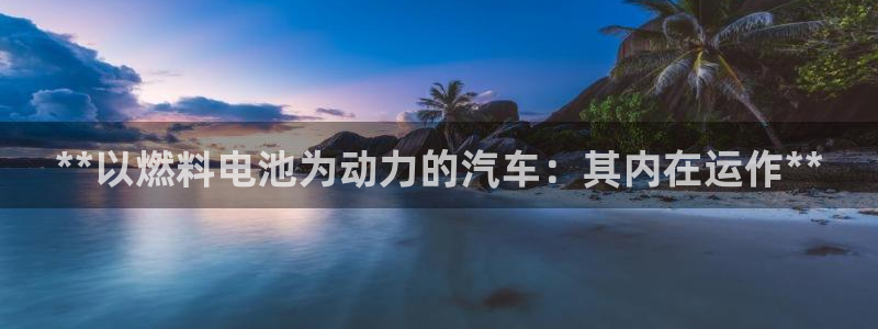 优发国际注册平台官网