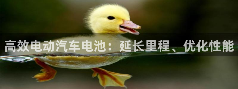 优发国际登录首页