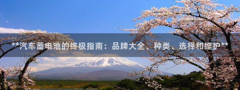 优发国际官方网平台电话