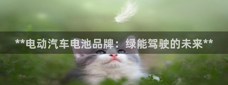 优发国际官网网站