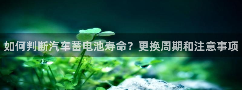 优发国际首页首页y6