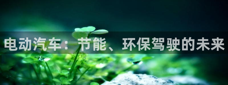 优发国际随优而动一触即发
