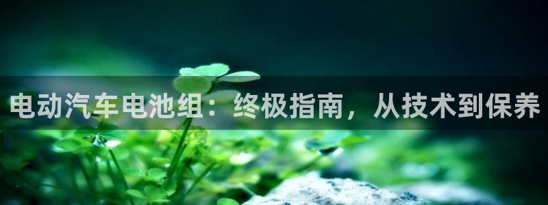 优发国际官网下载苹果版：电动汽车电池组：终极指南，从技术到保养