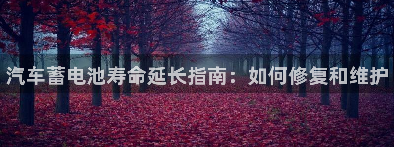 优发国际平台18