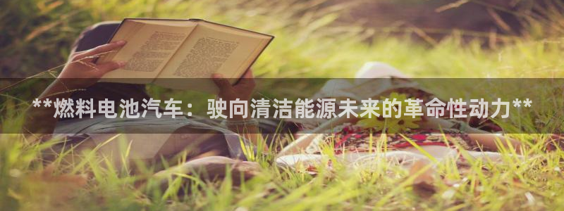 优发国际免费游戏下载：**燃料电池汽车：驶向清洁能源未来的革命性动力**