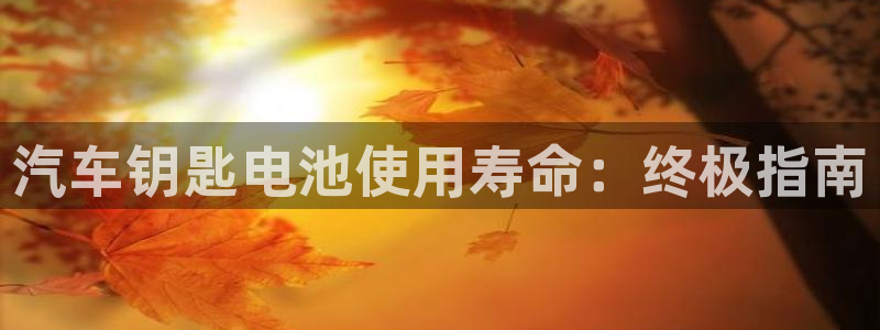 优发国际官网网站登录：汽车钥匙电池使用寿命：终极指南