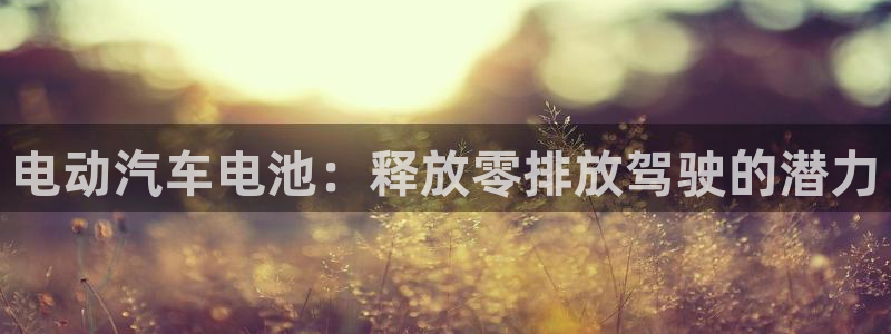 优发国际注册账号