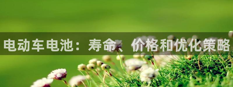 优发国际下载安装：电动车电池：寿命、价格和优化策略