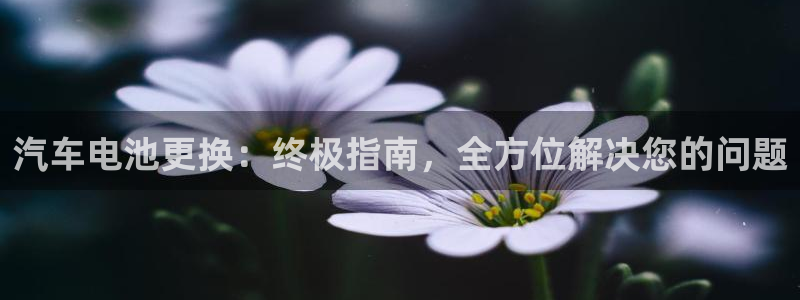优发国际合并到哪里了啊