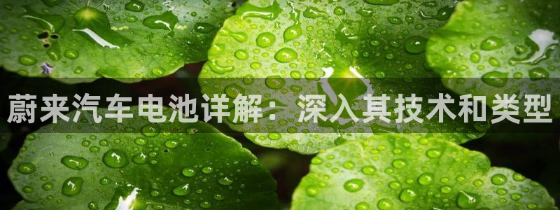 优发国际手机app下载安装官网