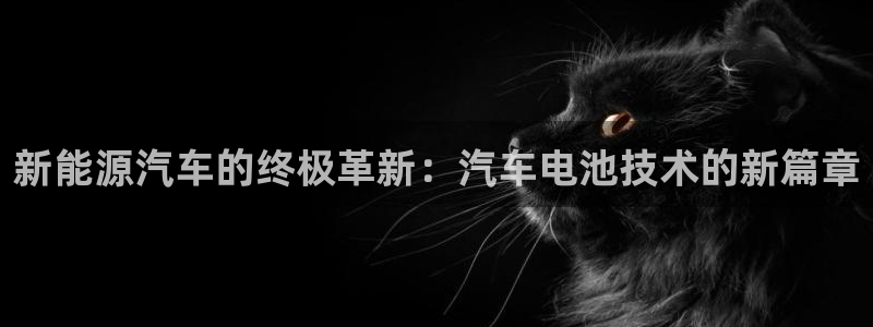 优发国际网站多少
