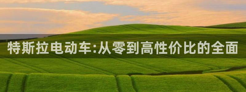 优发国际平台u8怎么样可靠吗：特斯拉电动车:从零到高性价比的全面
