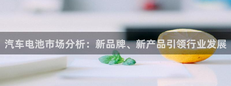 优发国际网站官网：汽车电池市场分析：新品牌、新产品引领行业发展