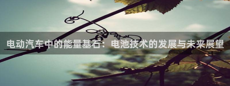 优发国际手机app下载安装苹果：电动汽车中的能量基石：电池技术的发展与未来展望
