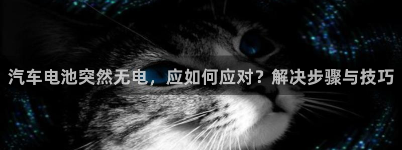 优发国际客服联系方式电话