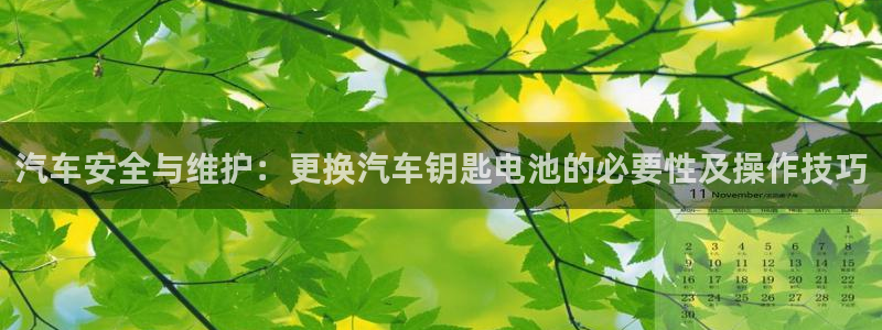 优发国际手机版：汽车安全与维护：更换汽车钥匙电池的必要性及操作技巧