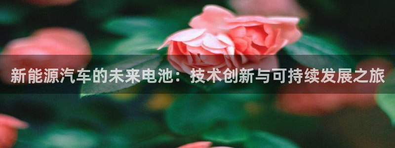 优发娱乐官网地址
