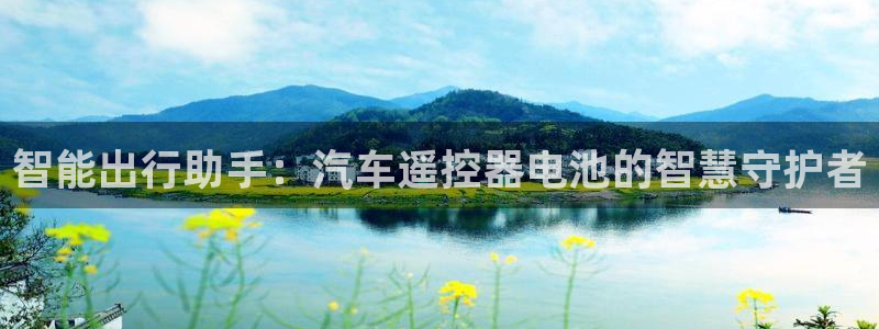 优发国际官方网手机版：智能出行助手：汽车遥控器电池的智慧守护者