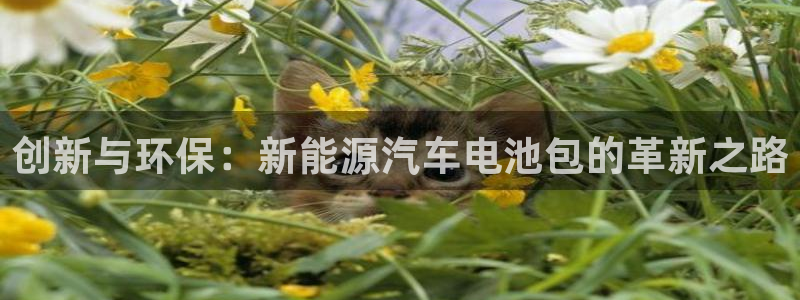 优发国际手机版客户端下载：创新与环保：新能源汽车电池包的革新之路
