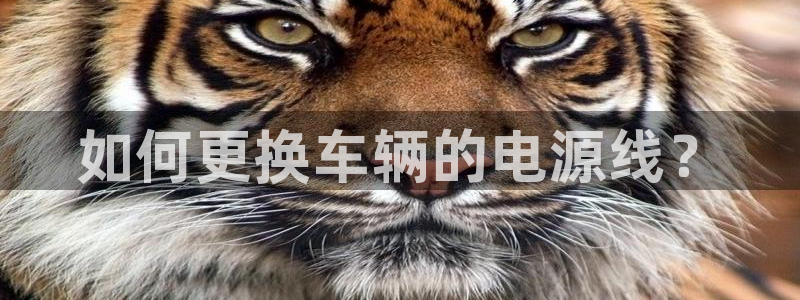 优发国际这个平台怎么样可靠吗：如何更换车辆的电源线？