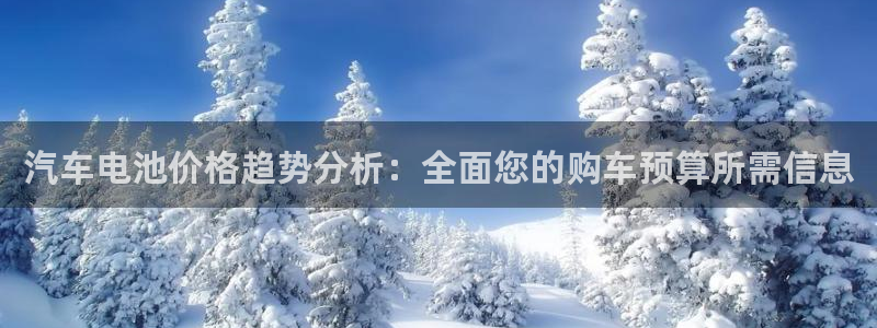 优发国际手机客户端：汽车电池价格趋势分析：全面您的购车预算所需信息