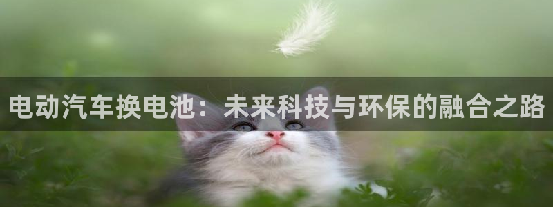 优发国际游戏官方网站入口：电动汽车换电池：未来科技与环保的融合之路