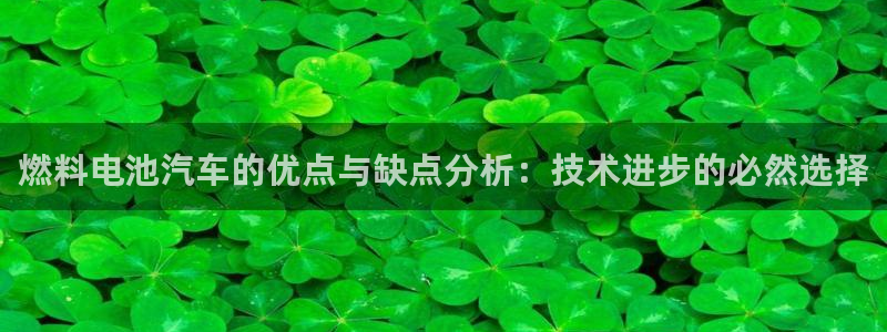 优发国际登录app：燃料电池汽车的优点与缺点分析：技术进步的必然选择