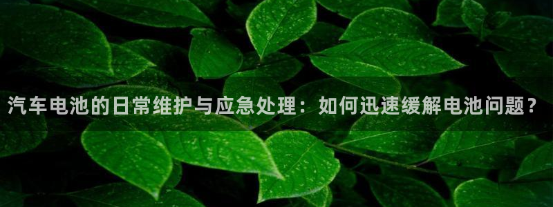 优发国际手机安装登录失败：汽车电池的日常维护与应急处理：如何迅速缓解电池问题？