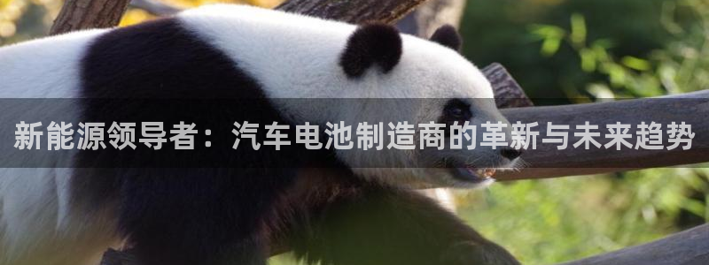 优发国际手机app下载地址：新能源领导者：汽车电池制造商的革新与未来趋势