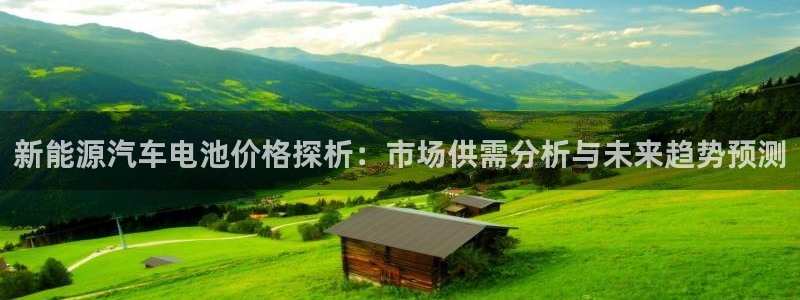 优发国际平台18岁能做吗：新能源汽车电池价格探析：市场供需分析与未来趋势预测