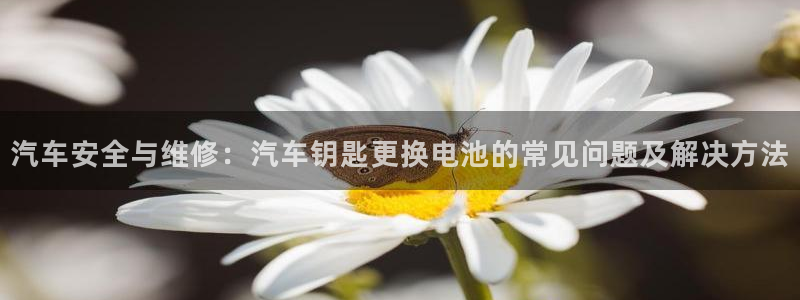 优发国际首页官网：汽车安全与维修：汽车钥匙更换电池的常见问题及解决方法
