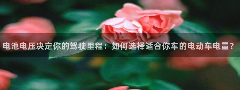 优发国际手机登录下载安装：电池电压决定你的驾驶里程：如何选择适合你车的电动车电量？