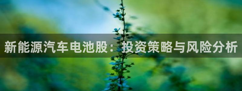 优发国际是不是黑网：新能源汽车电池股：投资策略与风险分析