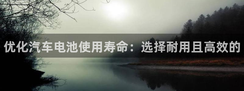 优发国际手机app下载安装：优化汽车电池使用寿命：选择耐用且高效的