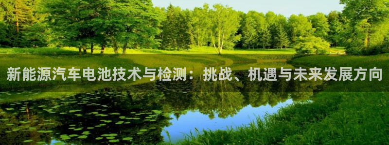 优发国际怎么样：新能源汽车电池技术与检测：挑战、机遇与未来发展方向