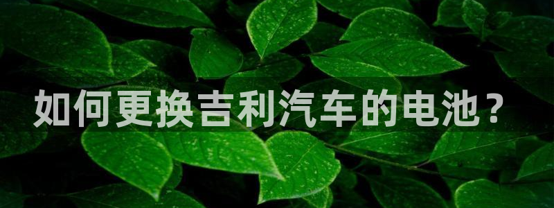 优发国际手机版唯一官网：如何更换吉利汽车的电池？