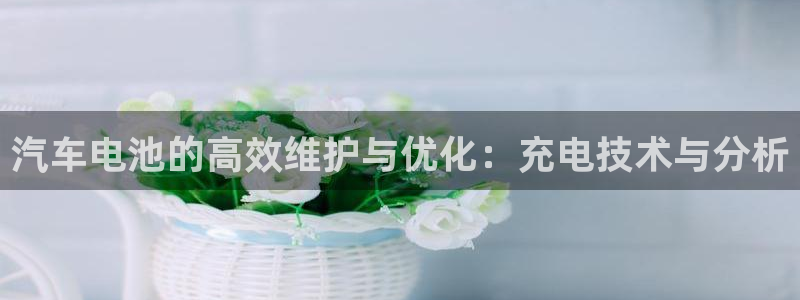 优发国际手机版官网：汽车电池的高效维护与优化：充电技术与分析