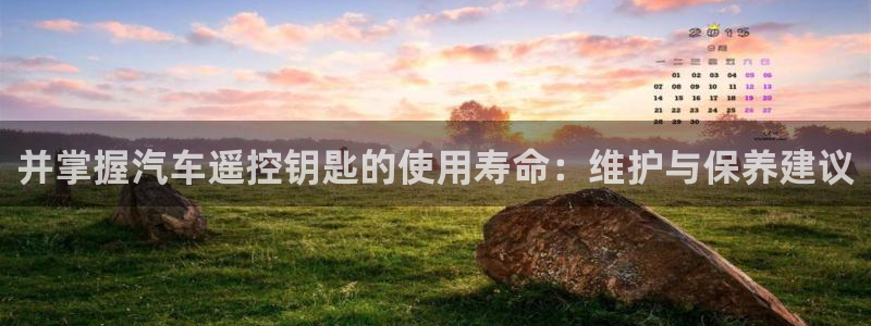 优发国际登录l8：并掌握汽车遥控钥匙的使用寿命：维护与保养建议
