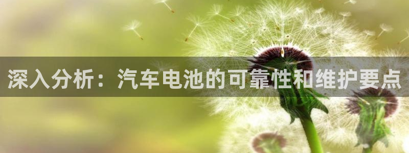 优发国际平台u8