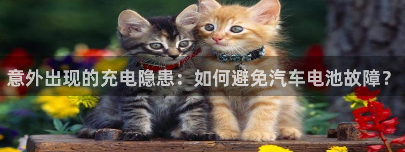优发国际手机客户端下载安装不了：意外出现的充电隐患：如何避免汽车电池故障？